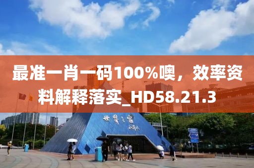 最準一肖一碼100%噢，效率資料解釋落實_HD58.21.3