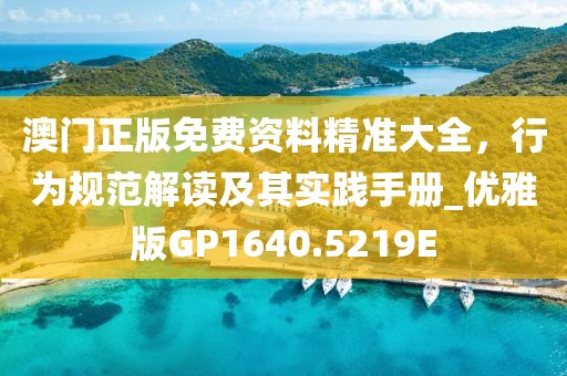 澳門正版免費資料精準大全，行為規范解讀及其實踐手冊_優雅版GP1640.5219E