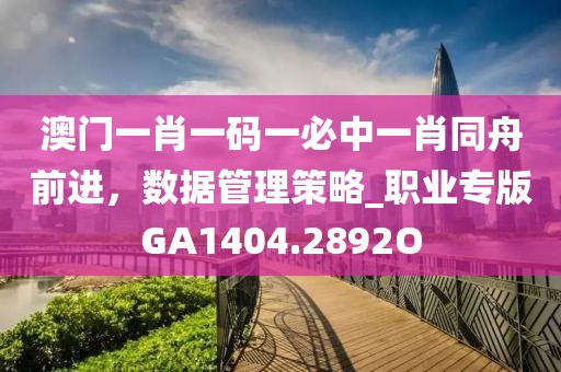 澳門一肖一碼一必中一肖同舟前進，數據管理策略_職業專版GA1404.2892O