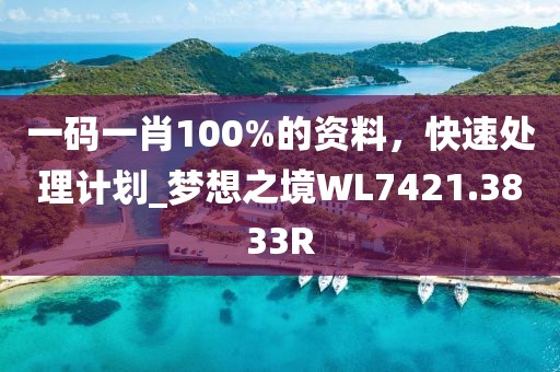 一碼一肖100%的資料，快速處理計劃_夢想之境WL7421.3833R
