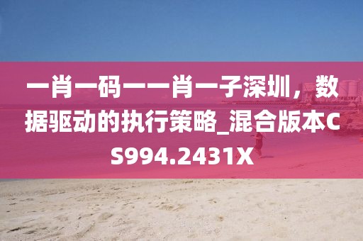 一肖一碼一一肖一子深圳，數據驅動的執行策略_混合版本CS994.2431X