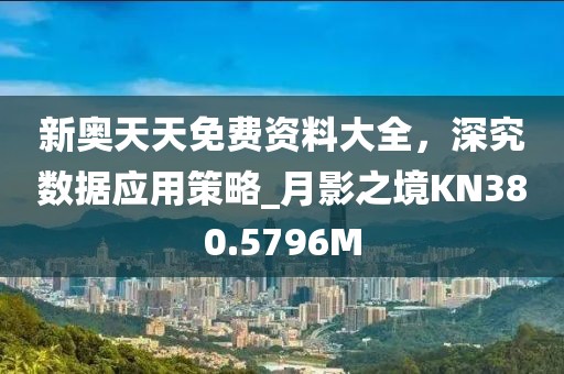 新奧天天免費資料大全，深究數據應用策略_月影之境KN380.5796M