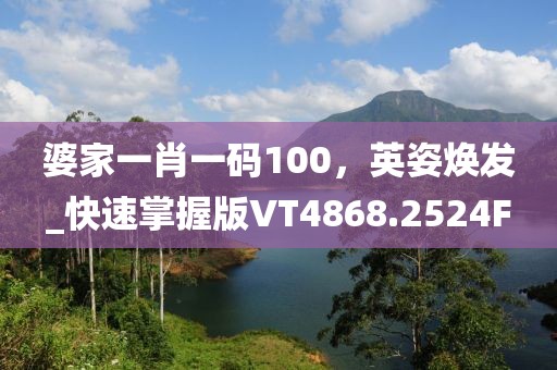 婆家一肖一碼100，英姿煥發_快速掌握版VT4868.2524F