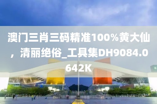 澳門三肖三碼精準100%黃大仙，清麗絕俗_工具集DH9084.0642K