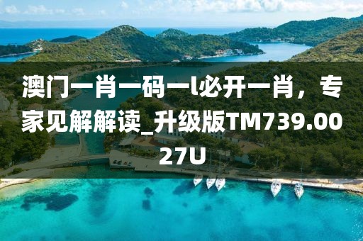 澳門一肖一碼一l必開一肖，專家見解解讀_升級版TM739.0027U
