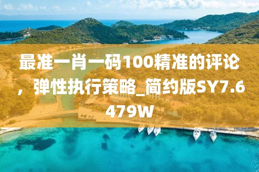 最準一肖一碼100精準的評論，彈性執行策略_簡約版SY7.6479W