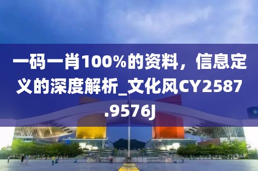 一碼一肖100%的資料，信息定義的深度解析_文化風CY2587.9576J