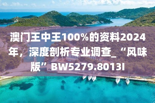 澳門王中王100%的資料2024年，深度剖析專業調查_“風味版”BW5279.8013I