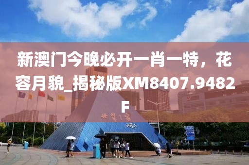 新澳門今晚必開一肖一特，花容月貌_揭秘版XM8407.9482F