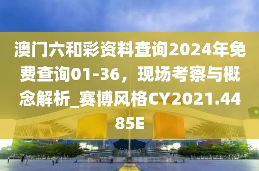 澳門六和彩資料查詢2024年免費查詢01-36，現場考察與概念解析_賽博風格CY2021.4485E
