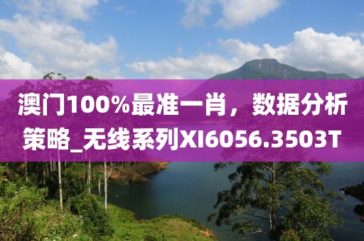 澳門100%最準一肖，數據分析策略_無線系列XI6056.3503T