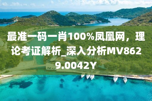 最準一碼一肖100%鳳凰網，理論考證解析_深入分析MV8629.0042Y