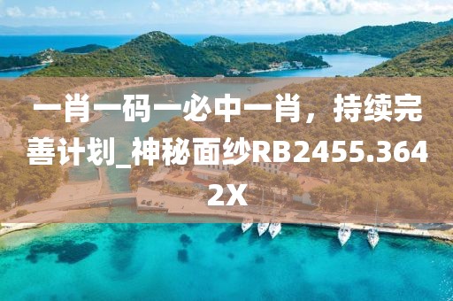 一肖一碼一必中一肖，持續完善計劃_神秘面紗RB2455.3642X