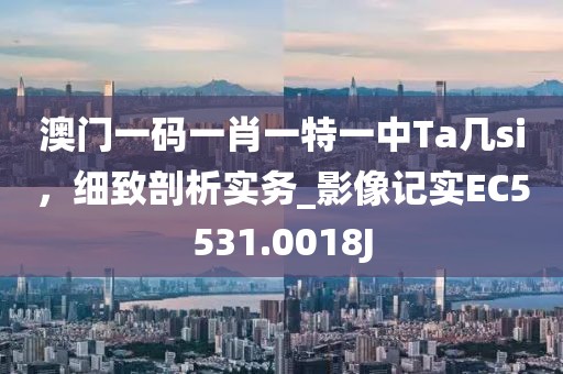 澳門一碼一肖一特一中Ta幾si，細致剖析實務_影像記實EC5531.0018J
