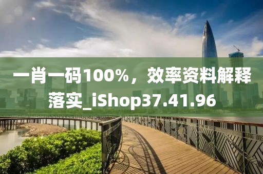 一肖一碼100%，效率資料解釋落實_iShop37.41.96