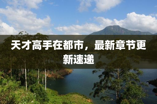 天才高手在都市，最新章節更新速遞