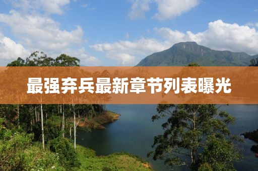 最強棄兵最新章節列表曝光