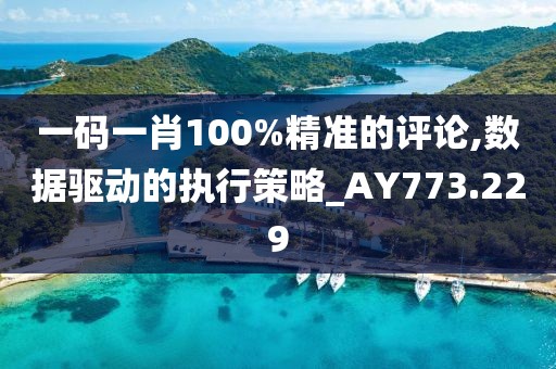 一碼一肖100%精準的評論,數據驅動的執行策略_AY773.229