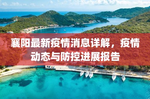 襄陽最新疫情消息詳解，疫情動態與防控進展報告