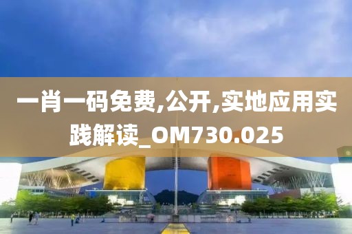 一肖一碼免費,公開,實地應用實踐解讀_OM730.025