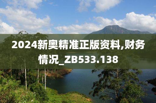 2024新奧精準正版資料,財務情況_ZB533.138