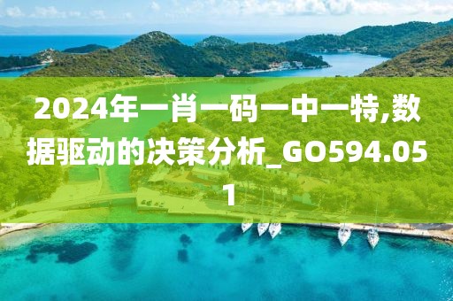 2024年一肖一碼一中一特,數據驅動的決策分析_GO594.051