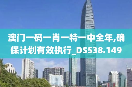 澳門一碼一肖一特一中全年,確保計劃有效執行_DS538.149