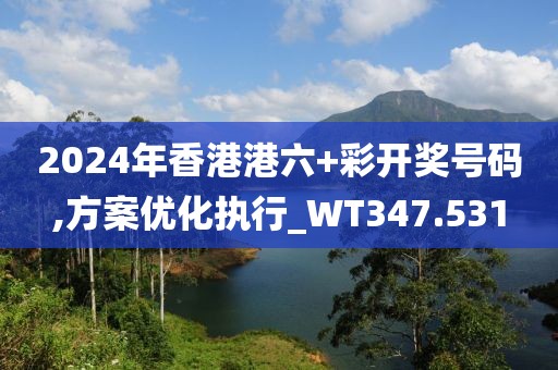2024年香港港六+彩開獎號碼,方案優化執行_WT347.531