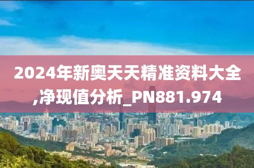 2024年新奧天天精準資料大全,凈現值分析_PN881.974