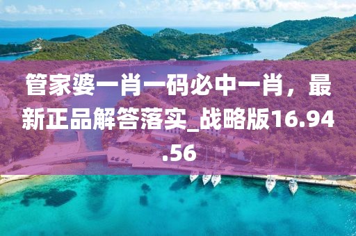 管家婆一肖一碼必中一肖，最新正品解答落實_戰略版16.94.56