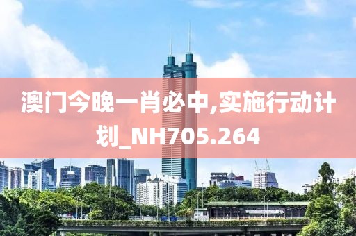 澳門今晚一肖必中,實施行動計劃_NH705.264