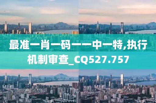 最準一肖一碼一一中一特,執行機制審查_CQ527.757