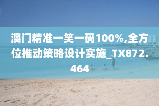 澳門精準一笑一碼100%,全方位推動策略設計實施_TX872.464