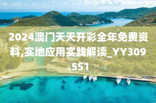 2024澳門天天開彩全年免費資料,實地應用實踐解讀_YY309.551
