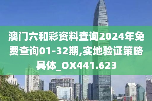 澳門六和彩資料查詢2024年免費查詢01-32期,實地驗證策略具體_OX441.623