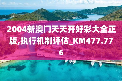 2004新澳門天天開好彩大全正版,執行機制評估_KM477.776