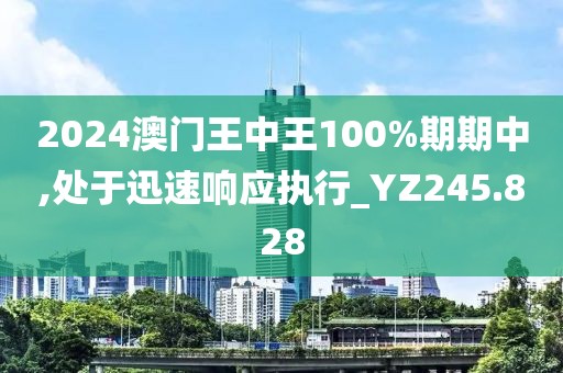 2024澳門王中王100%期期中,處于迅速響應執行_YZ245.828