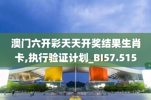 澳門六開彩天天開獎結果生肖卡,執行驗證計劃_BI57.515