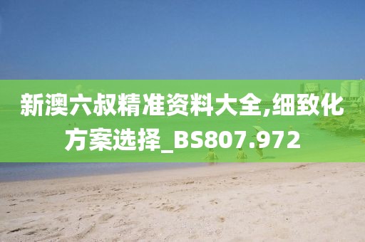 新澳六叔精準資料大全,細致化方案選擇_BS807.972