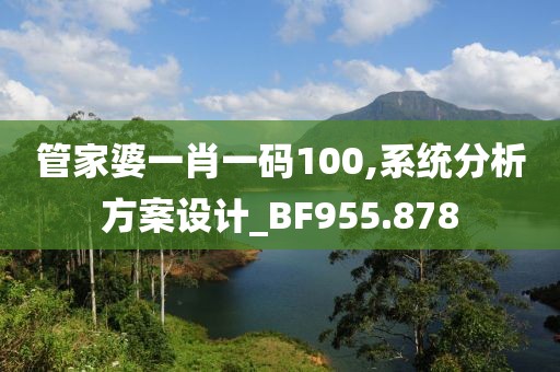 管家婆一肖一碼100,系統分析方案設計_BF955.878