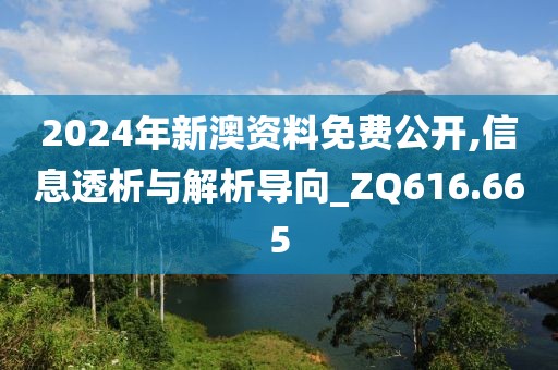 2024年新澳資料免費公開,信息透析與解析導向_ZQ616.665