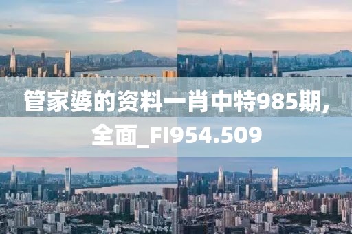管家婆的資料一肖中特985期,全面_FI954.509