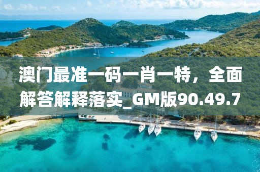 澳門最準一碼一肖一特，全面解答解釋落實_GM版90.49.7