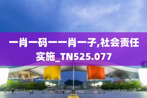 一肖一碼一一肖一子,社會責任實施_TN525.077