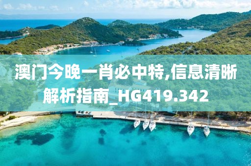 澳門今晚一肖必中特,信息清晰解析指南_HG419.342