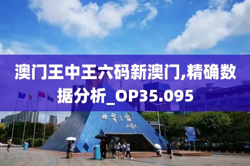 澳門王中王六碼新澳門,精確數據分析_OP35.095