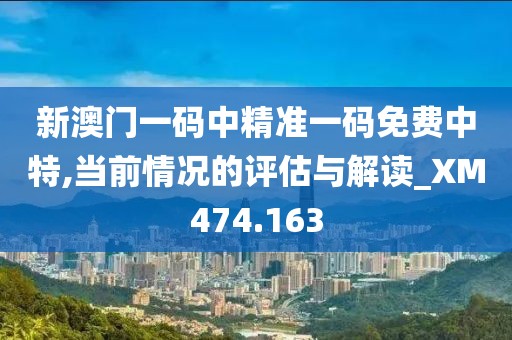新澳門一碼中精準一碼免費中特,當前情況的評估與解讀_XM474.163