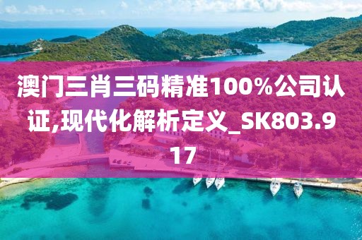 澳門三肖三碼精準100%公司認證,現代化解析定義_SK803.917