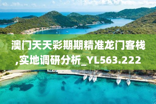 澳門天天彩期期精準龍門客棧,實地調研分析_YL563.222