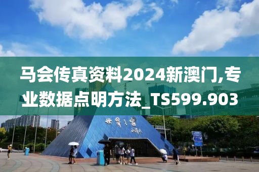 馬會傳真資料2024新澳門,專業數據點明方法_TS599.903